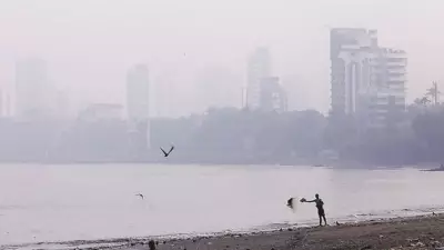 BMC Revives Ward Teams to Combat Mumbai Air Pollution, Halts Construction