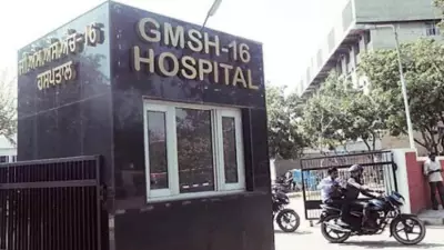 Chandigarh Hospitals to Get Porta Cabin Shelters for Patients from New Year