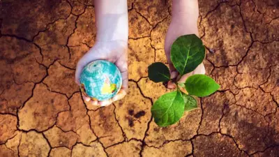 Climate Change Index 2026: India Drops 13 Ranks, Top 3 Spots Vacant