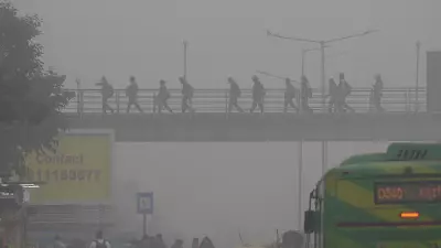 Delhi Red Alert: IMD Issues Warning as Dense Fog Disrupts North India