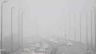 Dense Fog Cripples Delhi Airport: 118 Flights Cancelled, 16 Diverted