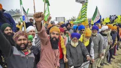 Farmers Demand Legal MSP Guarantee, Tell SC Panel: Procure All 22 Crops