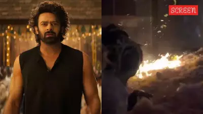 Fire Erupts at Odisha Theatre as Prabhas Fans Burst Crackers During The Raja Saab Screening