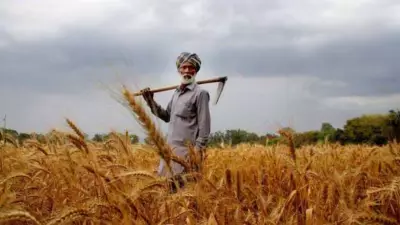 Govt Merges 3 Agri Schemes into PM-RKVY with ₹1.75 Lakh Crore Outlay
