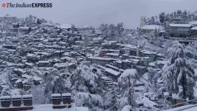 Himachal Welcomes New Year with Snowfall & Tourist Rush; Shimla Gears Up