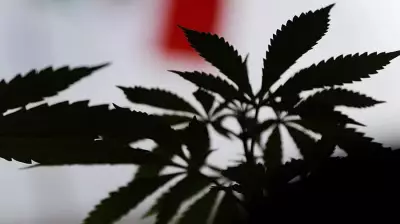 Kashmir ANTF Nabs Long-Evading Female Drug Peddler, Women Take Lead in Trade