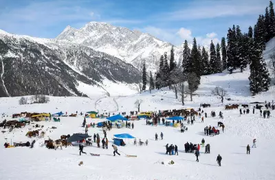 Kashmir Freezes: Water Bodies Turn to Ice as Cold Wave Intensifies