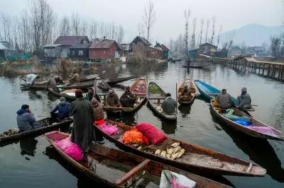 Kashmir Night Temperatures Rise Above Normal, Daytime Stays Chilly