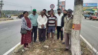 Mysuru Flyover Plan: 48 Neem Trees Face Axe at Devalapura 'Black Spot'