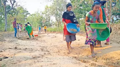 Odisha's Bold Plan to End Malkangiri Land Dispute: Permanent Titles, Case Review