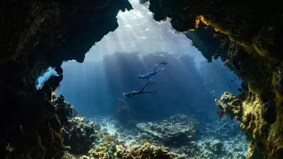 Over 30,000 Arctic Fossils Rewrite Dinosaur-Era Marine History