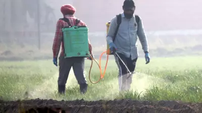 Punjab MGNREGS Staff Unpaid for 3-6 Months Amid VB-G RAM G Act Row