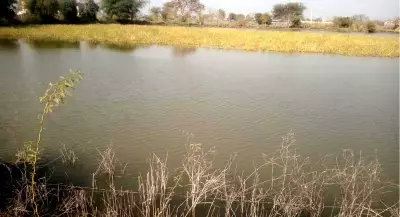 Rohtak's Waterlogged Fields Await Relief: ₹1,200 Crore Drainage Projects Offer Hope