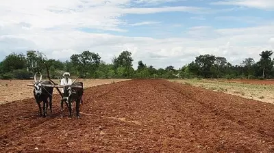 Union Budget 2026: Why India's Farmers Fear Being Overlooked Again