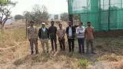 15 Critically Endangered Vultures Released in Melghat Tiger Reserve