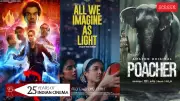 2024 Indian Cinema: Horror-Comedies, OTT & Small Films Outshine Bollywood Biggies