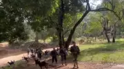 21 Naxals Surrender in Chhattisgarh's Kanker District, Hand Over Cache of Weapons Including AK-47s
