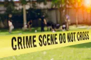 27-Year-Old Man Found Murdered in Delhi Park, 1 Detained