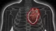 6 Simple Daily Drinks to Boost Your Heart Health Naturally