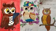 6th Indian Owl Festival in Pune Aims to Bust Myths, Draw 25,000 Visitors