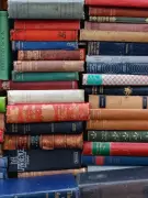 7 Feminist Books That Redefined Women's Writing & Empowerment