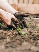 8 Innovative Gardening Styles to Transform Your Home This Year