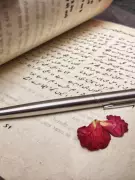 8 Must-Read Urdu Authors for Every Romantic Soul | Discover Timeless Love Stories