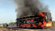 9 Killed in Karnataka as Bus Collides with Truck, Catches Fire