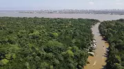 Amazon Rainforest Tipping Point: Brazilian Scientists Deliberately Starve Trees of Water in Groundbreaking Climate Experiment