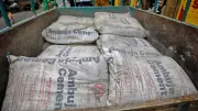 Ambuja Cements Board Approves Merger of ACC and Orient Cement