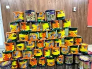 Amritsar DC Cracks Down on Deadly Chinese Manjha, Seeks Public Help