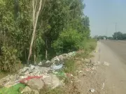 Amritsar's Bypass Roads Turn Into Garbage Dumps: Municipal Corporation Faces Public Outrage