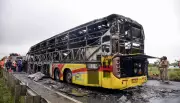 Andhra Pradesh Bus Fire Tragedy: DNA Profiling of Victims to Conclude by Monday