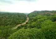 Aravalli Definition Row: A Year of Landmark Rulings Shaping Haryana's Future