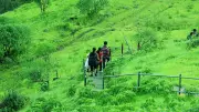 Bengaluru NGO Inclusive Trek Seeks Volunteers for Nature Hikes
