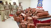 Bengaluru Police Bust Major Red Sandalwood Smuggling Ring, 3 Arrested