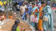 Bengaluru's Iconic Groundnut Fair Returns Nov 17: 5 Days of Nutty Delights & Rural Culture