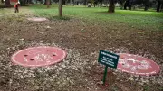 Bengaluru's Water Revolution: How Lalbagh's Percolation Wells Are Fighting the Water Crisis