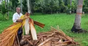 Beyond the Nut: Karnataka Innovators Transform Areca Palm Waste