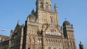 Bombay HC Greenlights BMC to Fell 45,000 Mangroves for Coastal Road, Sets 2028 Deadline