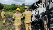 Brazil Bus Crash: 14 Killed in Head-On Collision with Truck in Parana