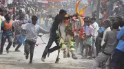 Bull Attack Tragedy in Karnataka: 3 Killed in Haveri District During Animal Transport