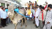 Bullock Cart Protest Rocks Bengaluru: Vatal Nagaraj Leads Charge Against City's Civic Collapse