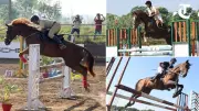 Chandigarh Horse Riders Triumph, Qualify for National Equestrian League