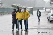 Chandigarh's 31-Day Dry Spell Ends with New Year Rain, Records 1.6 mm