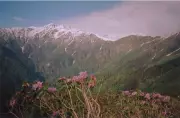 Chandrakhani Pass & Malana Village: Himalayan Majesty Meets Ancient Mystery