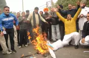 Congress Workers in Amritsar Protest GNCTD Bill, Burn PM Modi's Effigy