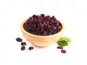 Cranberries Boost Gut Health: New Study Reveals Powerful Benefits