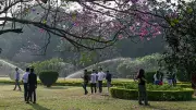 Cubbon Park Walkers Boycott Deputy CM's Event in Bengaluru | Political Snub