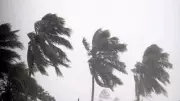 Cyclone Montha Alert: Andhra Pradesh Government Activates Comprehensive Relief Plan | Essential Supplies Guaranteed